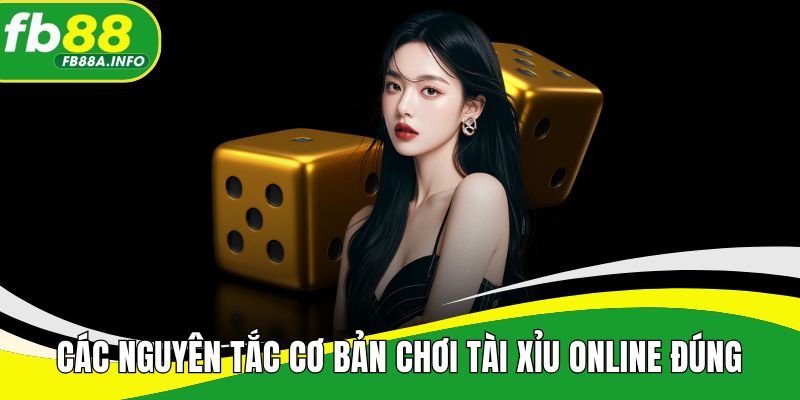 Các nguyên tắc cơ bản chơi tài xỉu online đúng