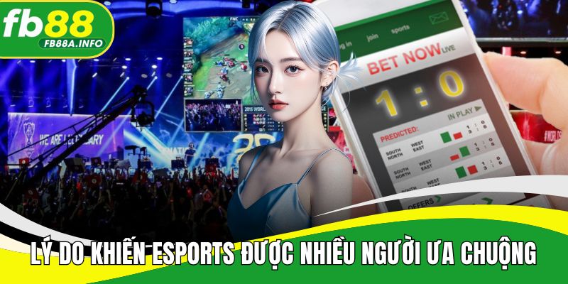 Lý do khiến Esports luôn được nhiều người ưa chuộng